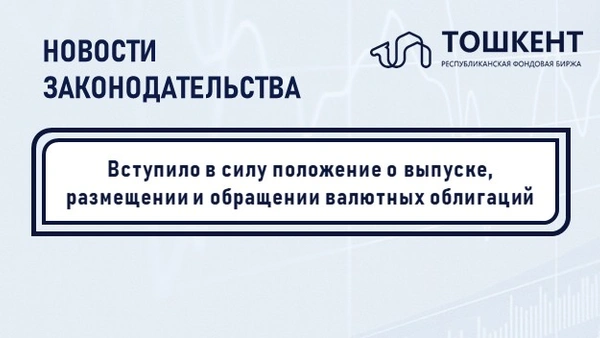 Вступило в силу положение о выпуске, размещении и обращении валютных облигаций