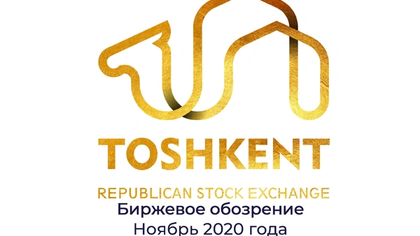 "Биржевое обозрение" за ноябрь 2020 года