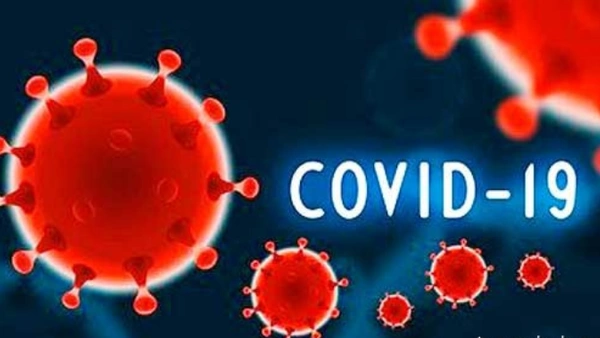 Что изменилось за месяц с выявления первого случая заражения COVID-19 в Узбекистане и как это повлияло на фондовый рынок